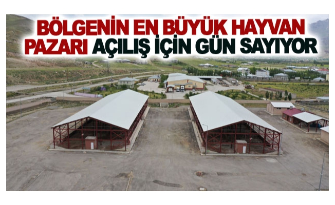 Bölgenin en büyük hayvan pazarı açılış için gün sayıyor