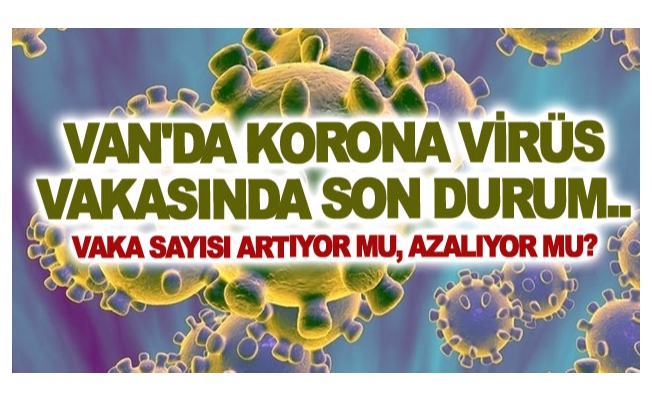 Van'da korona virüs vakasında son durum.. Vaka sayısı artıyor mu, azalıyor mu?