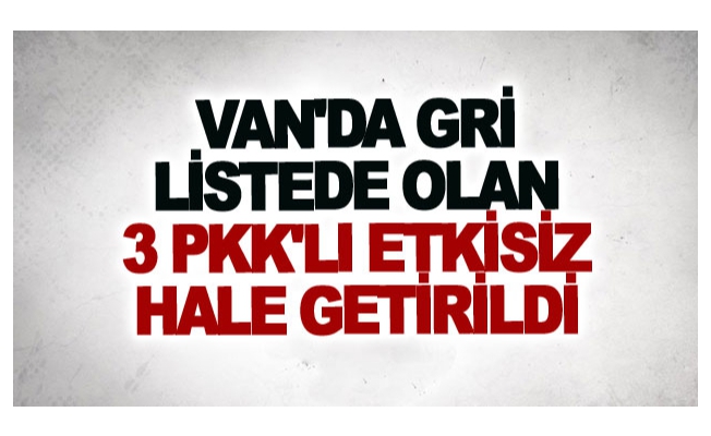 Van'da Gri listede olan 3 Pkk'lı etkisiz hale getirildi