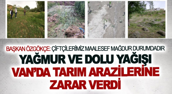 Yağmur ve dolu yağışı Van’da tarım arazilerine zarar verdi