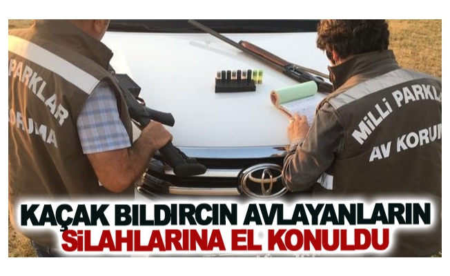 Kaçak Bıldırcın avlayanların silahlarına el konuldu