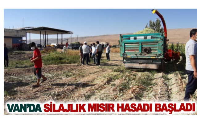 Van’da Silajlık mısır hasadı başladı