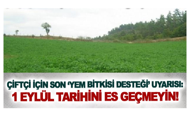 Çiftçi için son ‘yem bitkisi desteği’ uyarısı: 1 Eylül tarihini es geçmeyin!