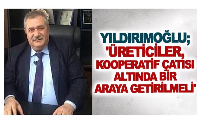 Yıldırımoğlu; 'Üreticiler, kooperatif çatısı altında bir araya getirilmeli'