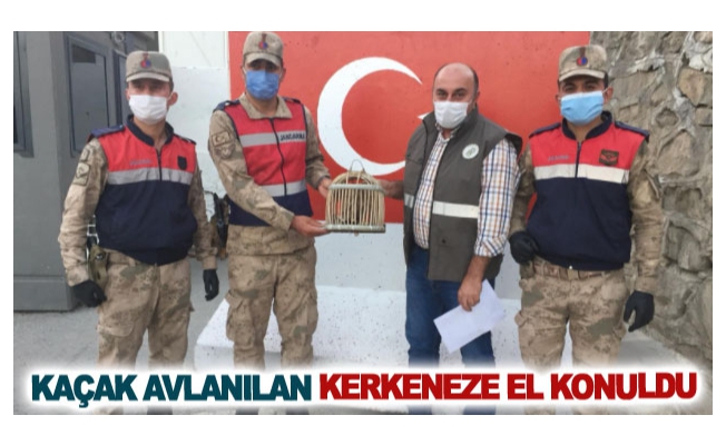 Kaçak avlanılan Kerkeneze el konuldu