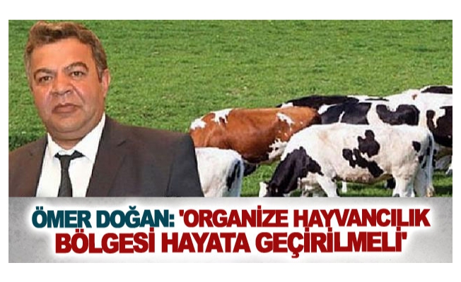 Ömer Doğan: 'Organize Hayvancılık Bölgesi hayata geçirilmeli'