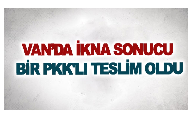 Van’da ikna sonucu bir Pkk'lı teslim oldu