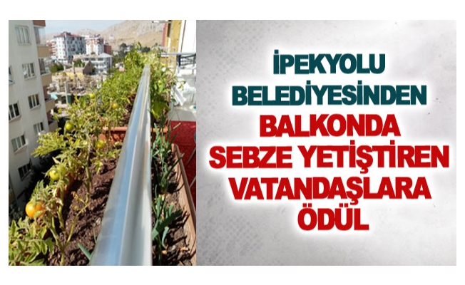 İpekyolu Belediyesinden balkonda sebze yetiştiren vatandaşlara ödül