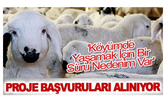 Proje başvuruları alınıyor