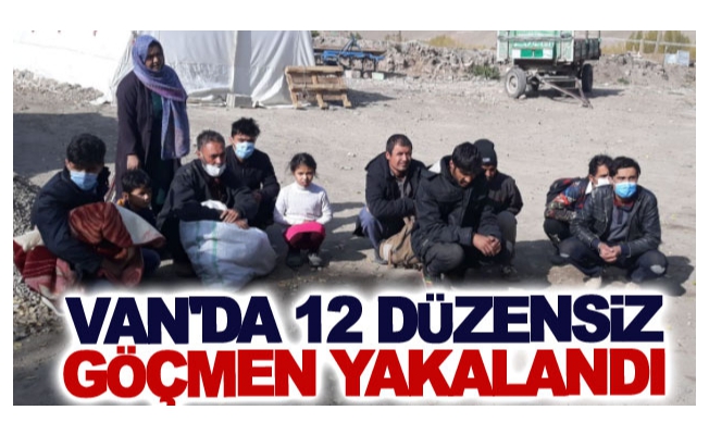 Van'da 12 düzensiz göçmen yakalandı