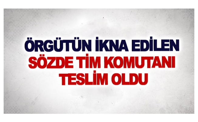 Örgütün ikna edilen sözde tim komutanı teslim oldu