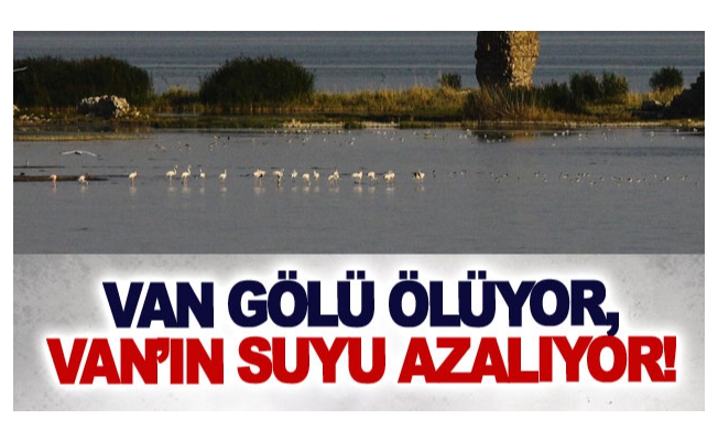 Van Gölü ölüyor, Van’ın suyu azalıyor!