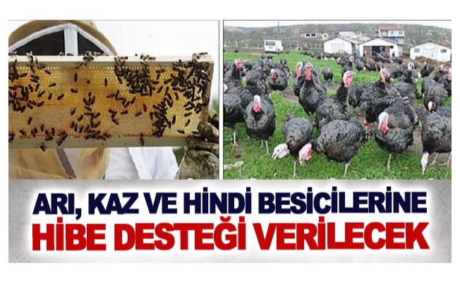 Arı, kaz ve hindi besicilerine hibe desteği verilecek