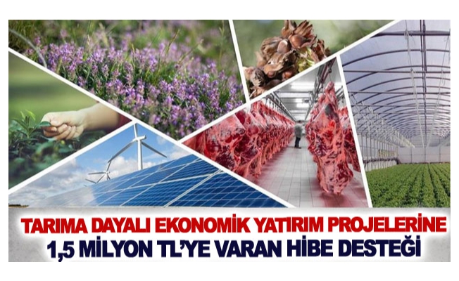 Tarıma dayalı ekonomik yatırım projelerine 1,5 milyon TL’ye varan hibe desteği