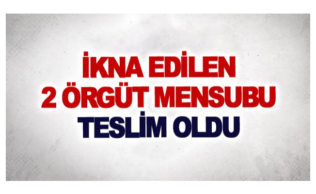 İkna edilen 2 örgüt mensubu teslim oldu