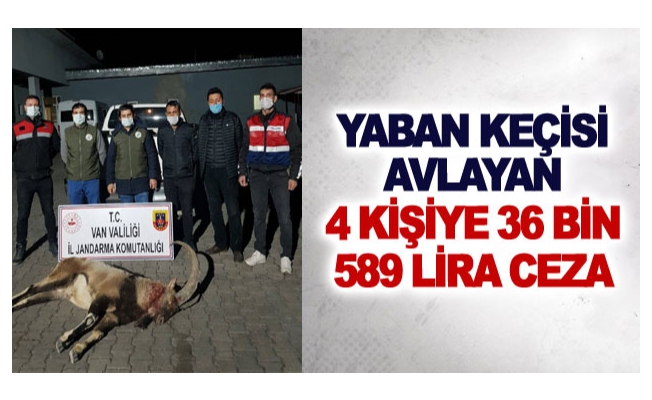 Yaban keçisi avlayan 4 kişiye 36 bin 589 lira ceza