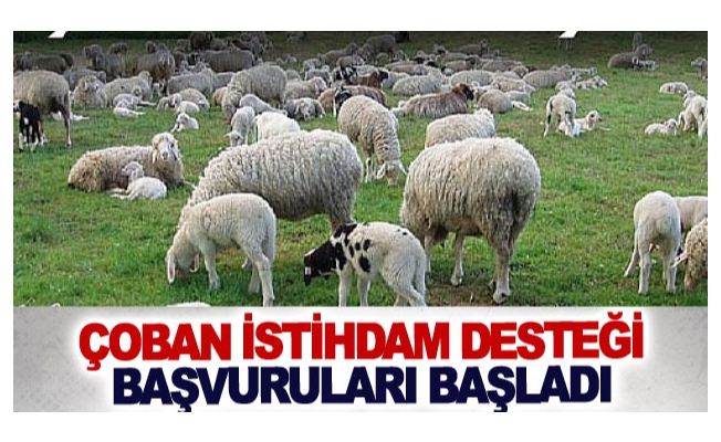 Çoban istihdam desteği başvuruları başladı