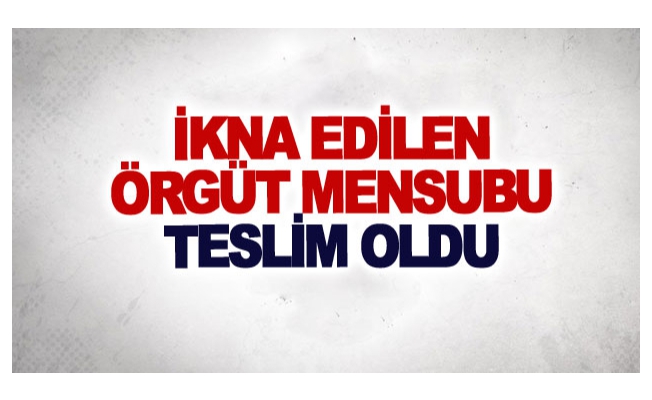 İkna edilen örgüt mensubu teslim oldu