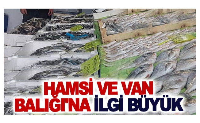 Hamsi ve Van Balığı'na ilgi büyük