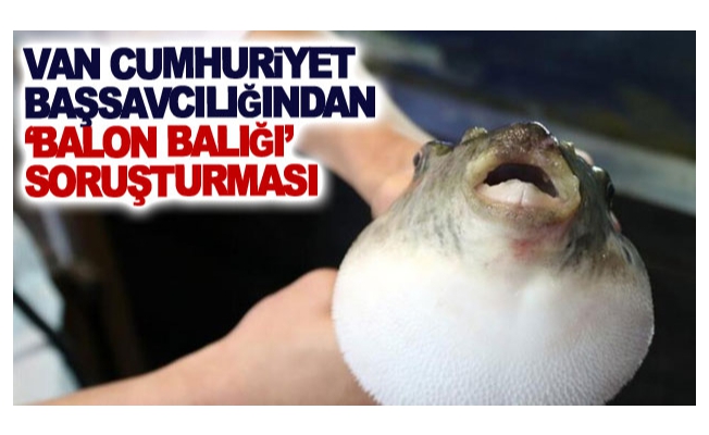 Van Cumhuriyet Başsavcılığından ‘balon balığı’ soruşturması