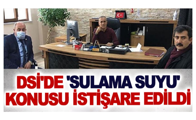 DSİ'de 'sulama suyu' konusu istişare edildi