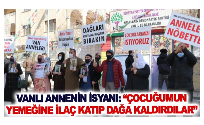 Vanlı annenin isyanı: Çocuğumun yemeğine ilaç katıp dağa kaldırdılar