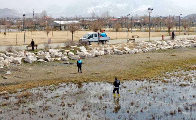 Van Büyükşehir Belediyesinden vektörle mücadele