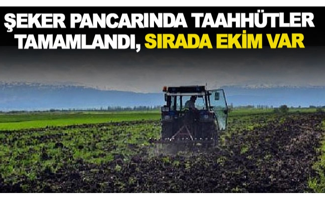 Şeker pancarında taahhütler tamamlandı, sırada ekim var