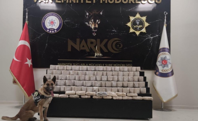 Araziye gizlenen 61 kilo eroini narkotik köpekleri buldu