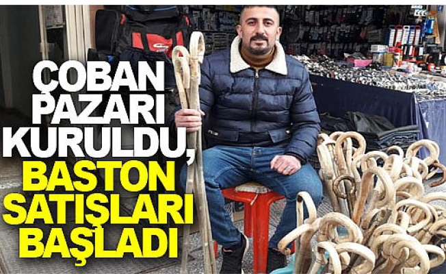 Çoban Pazarı kuruldu, baston satışları başladı