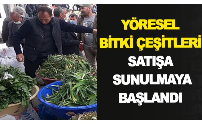 Yöresel bitki çeşitleri satışa sunulmaya başlandı