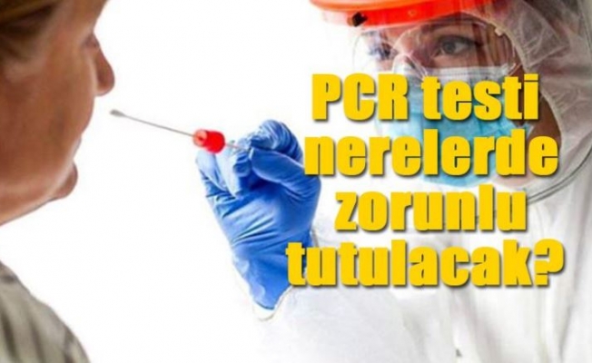 Van Valiliği(nden nerelerde PCR testi istenecek açıklaması