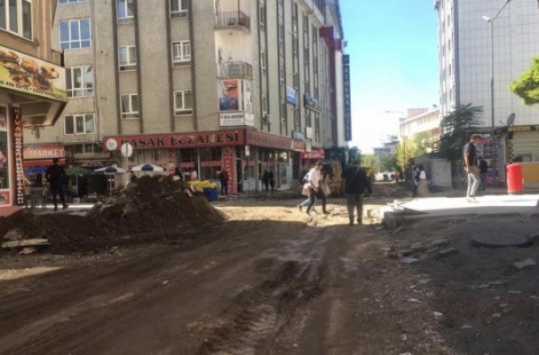 HDP Van Milletvekili Van'daki yol ve kaldırım çalışmalarını İçişleri Bakanı'na sordu