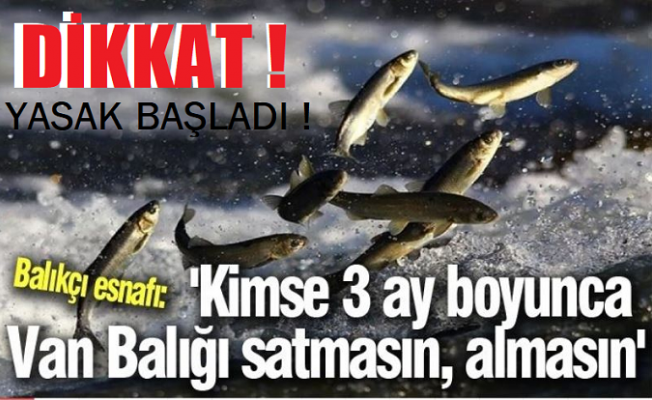 DİKKAT! VAN BALIĞI AV YASAĞI BAŞLADI