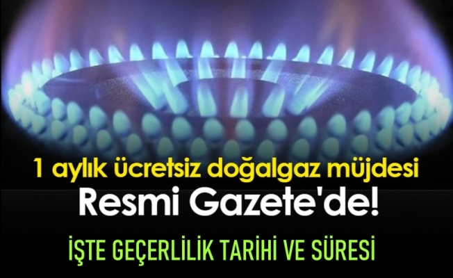 BEDAVA DOĞAL GAZ RESMİ GAZETEDE!