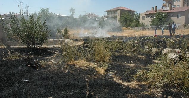 Van'da Ot Yangını!