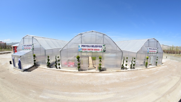 İpekyolu Belediyesinden çiçek üretim serası