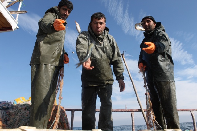 Van Gölü'nde "ekmek mücadelesi"