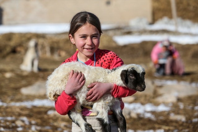 Şehrin gürültüsünden uzakta yaşamlar