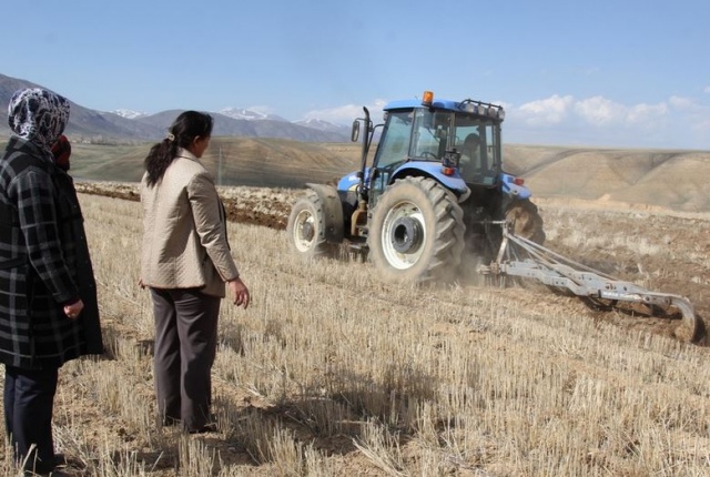 Başkale'de 10 ton nohut ekimi başladı