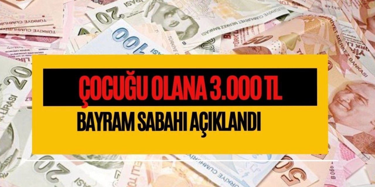 Devlet Çocuğu Olan Ailelere destek ödemesi yapıyor! işte 3000 TL Almak için yapmanız gerekenler.