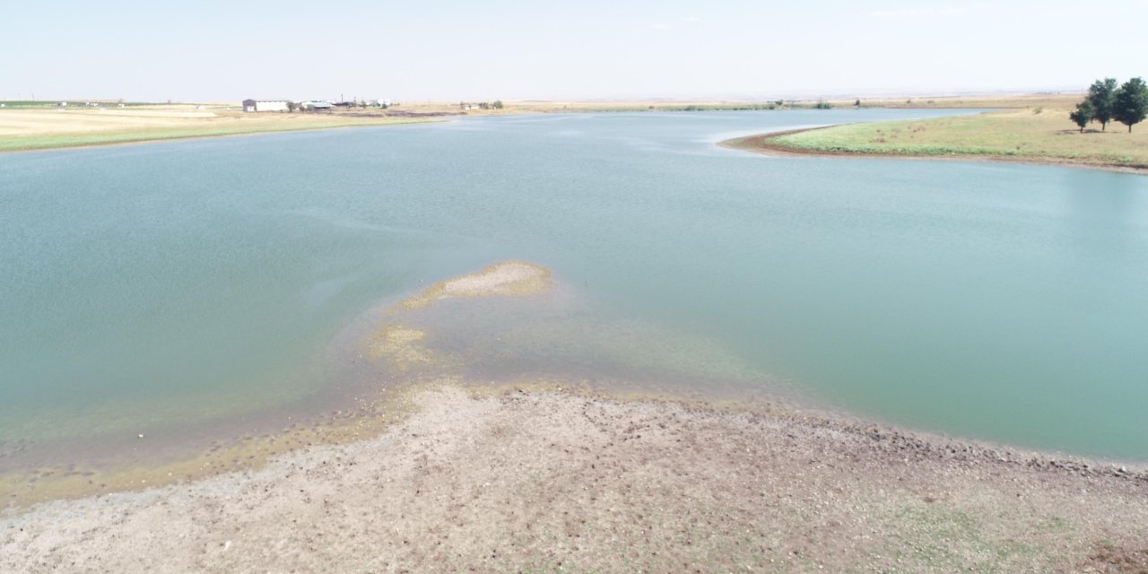 Binlerce Kuşun Yaşam Alanı Gölette Su 10 Metre Çekildi; Uzmandan Uyarı Geldi