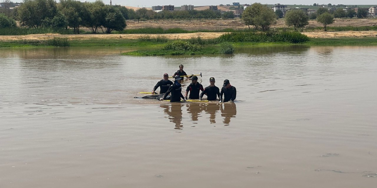 Dicle Nehri'nde Kaybolmuştu; 34 Saat Sonra Cansız Bedeni Bulundu