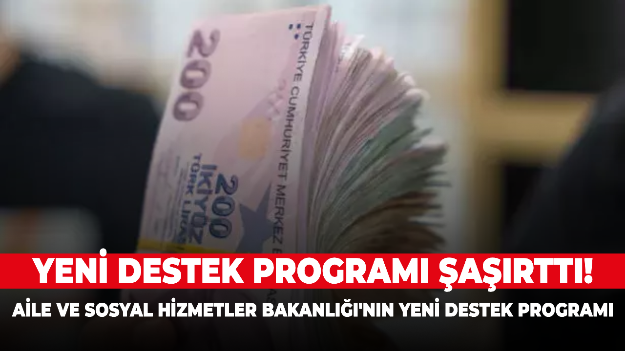 Yeni destek programı şaşırttı! Aile ve Sosyal Hizmetler Bakanlığı'nın yeni destek programı