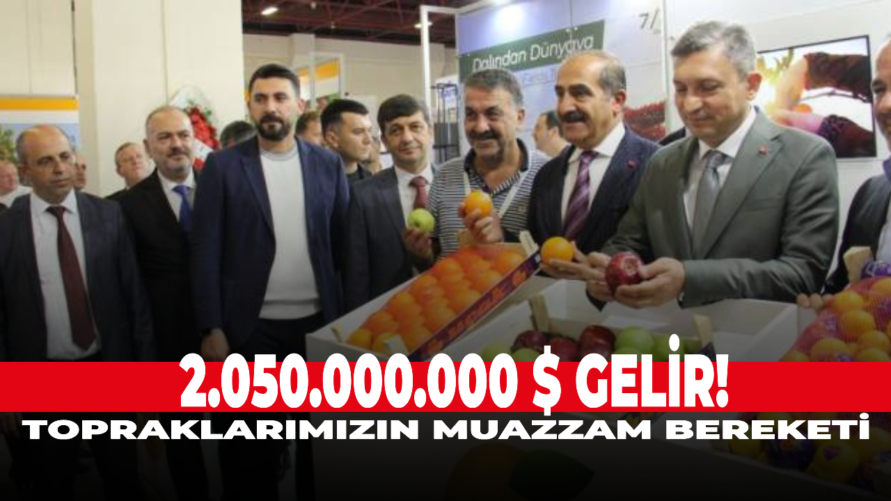 2.050.000.000 $ gelir! Topraklarımızın muazzam bereketi