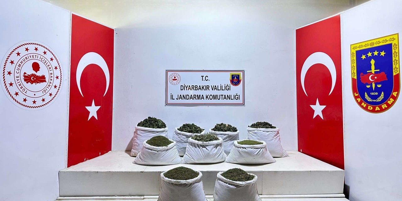 Diyarbakır’da 350 Bin 620 Kök Hint Keneviri Ve Skunk Bitkisi, 121 Kilo Esrar Ele Geçirildi