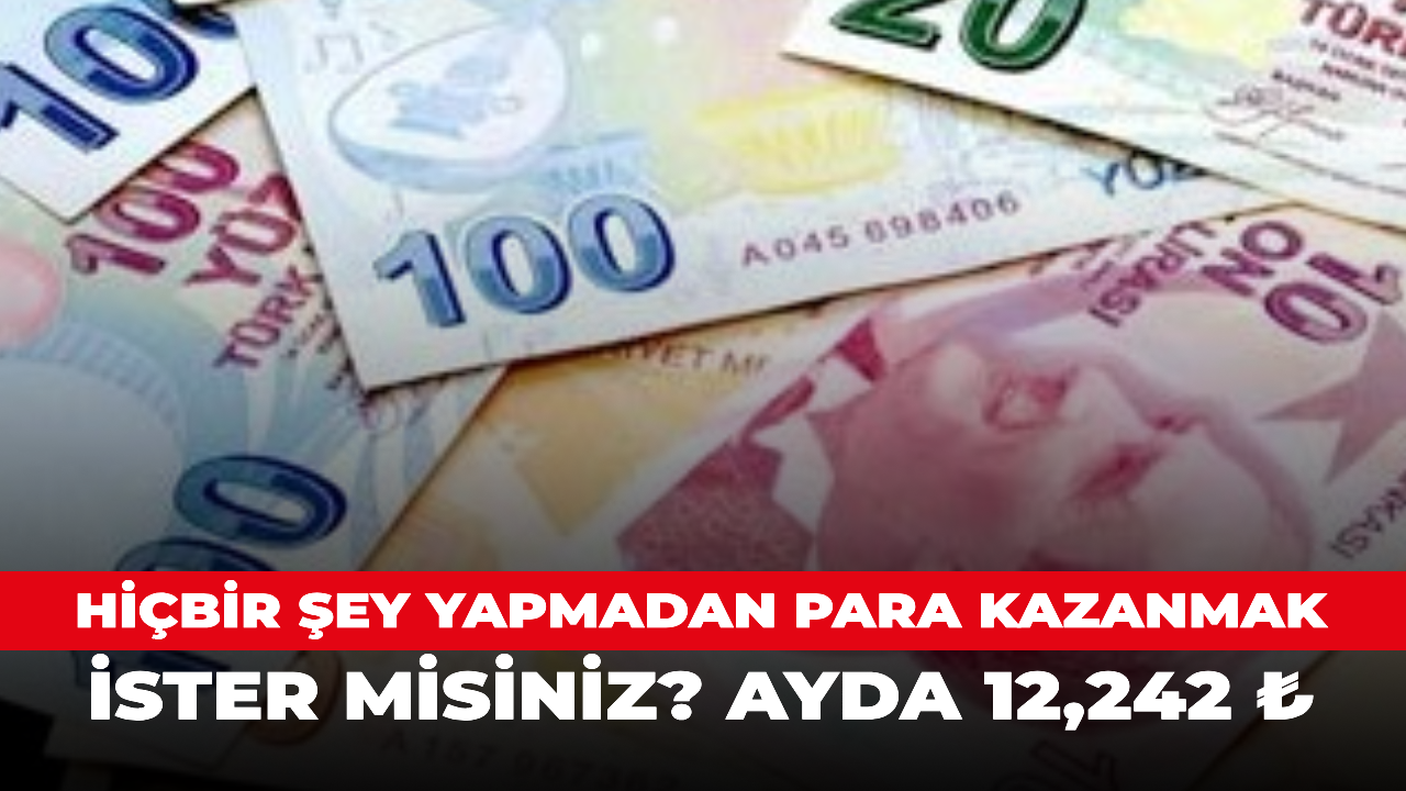 Oturduğunuz yerden para kazanmak ister misiniz? Ayda 12,242 ₺