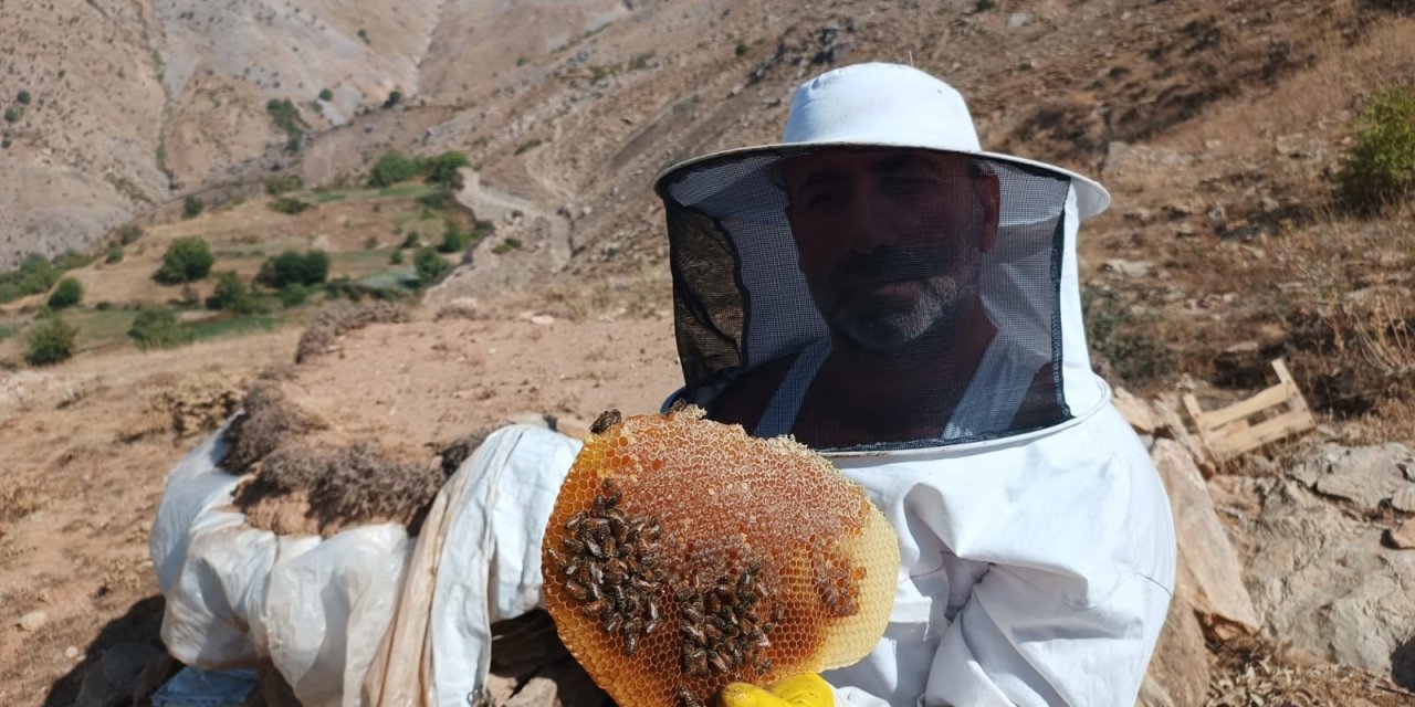 Mereto Dağı Eteklerinde Ürettiği Balın Kilosunu 2 Bin 500 Liradan Satıyor