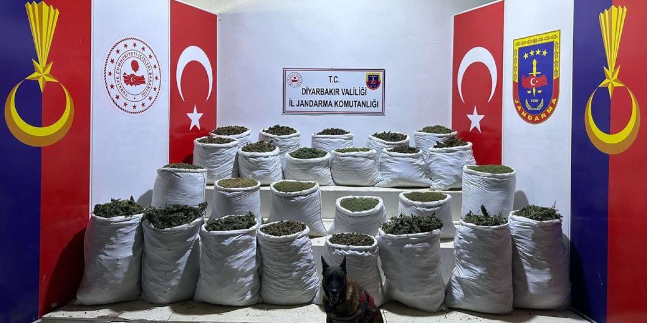 Diyarbakır'da, 603 Kilo Esrar İle 640 Bin 600 Kök Hint Keneviri Ve Skunk Ele Geçirildi