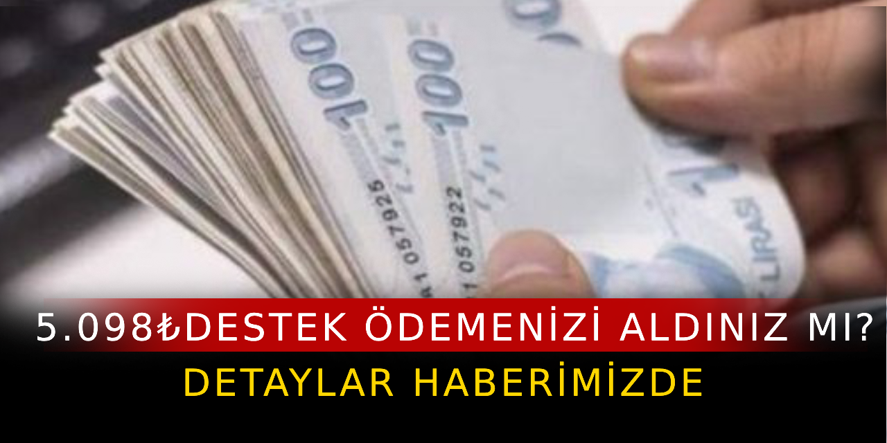 5.098 ₺ destek ödemesini aldınız mı? Almadıysanız detaylar haberimizde